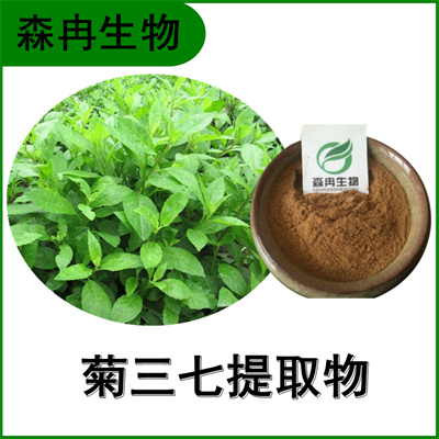 森冉生物 菊三七提取物 费菜提取物 比例提取原料粉