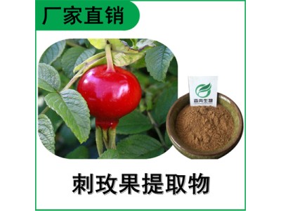 森冉生物 玫瑰果提取物 刺玫果提取物 比例提取原料粉